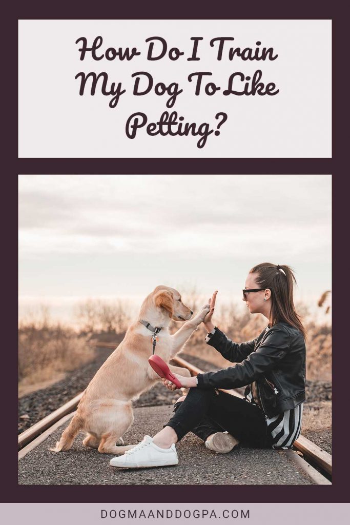 How Do I Train My Dog To Like Petting? Dogma & Dogpa