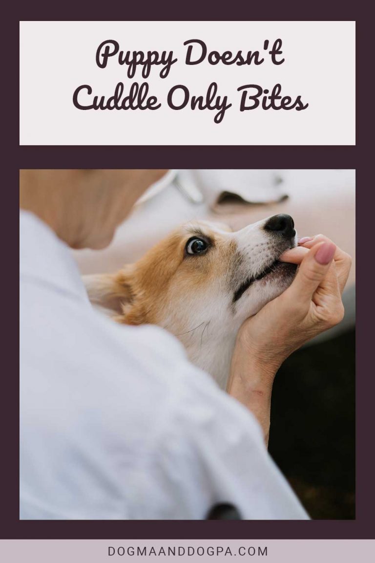 Puppy Doesn't Cuddle Only Bites Dogma & Dogpa