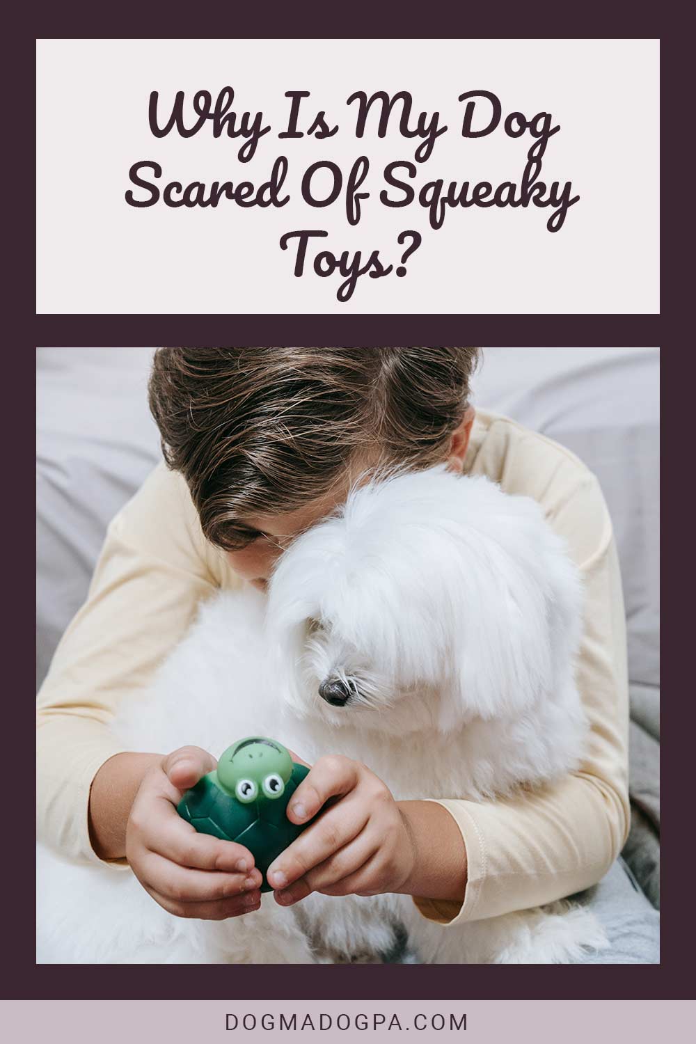 Boy with a dog on his lap plating with a toy - Why Is My Dog Scared Of Squeaky Toys?